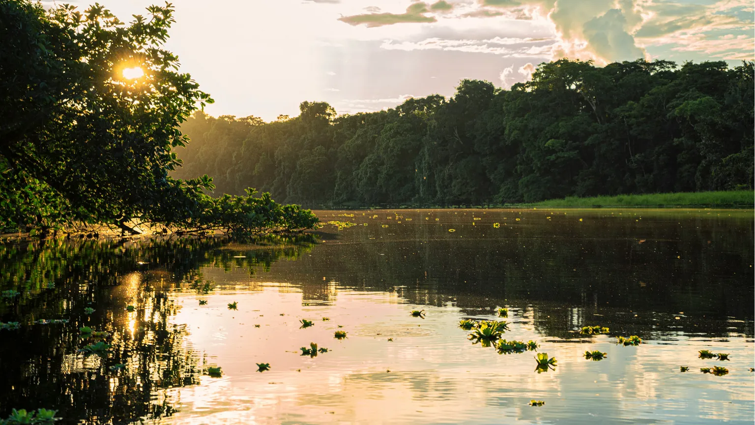 La biologa Evangelista: «Vivere in Amazzonia con un caimano per vicino»