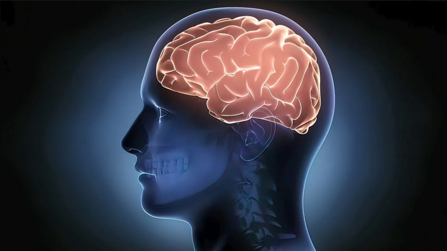 Neurotecnologie sempre più sofisticate, ora servono regole