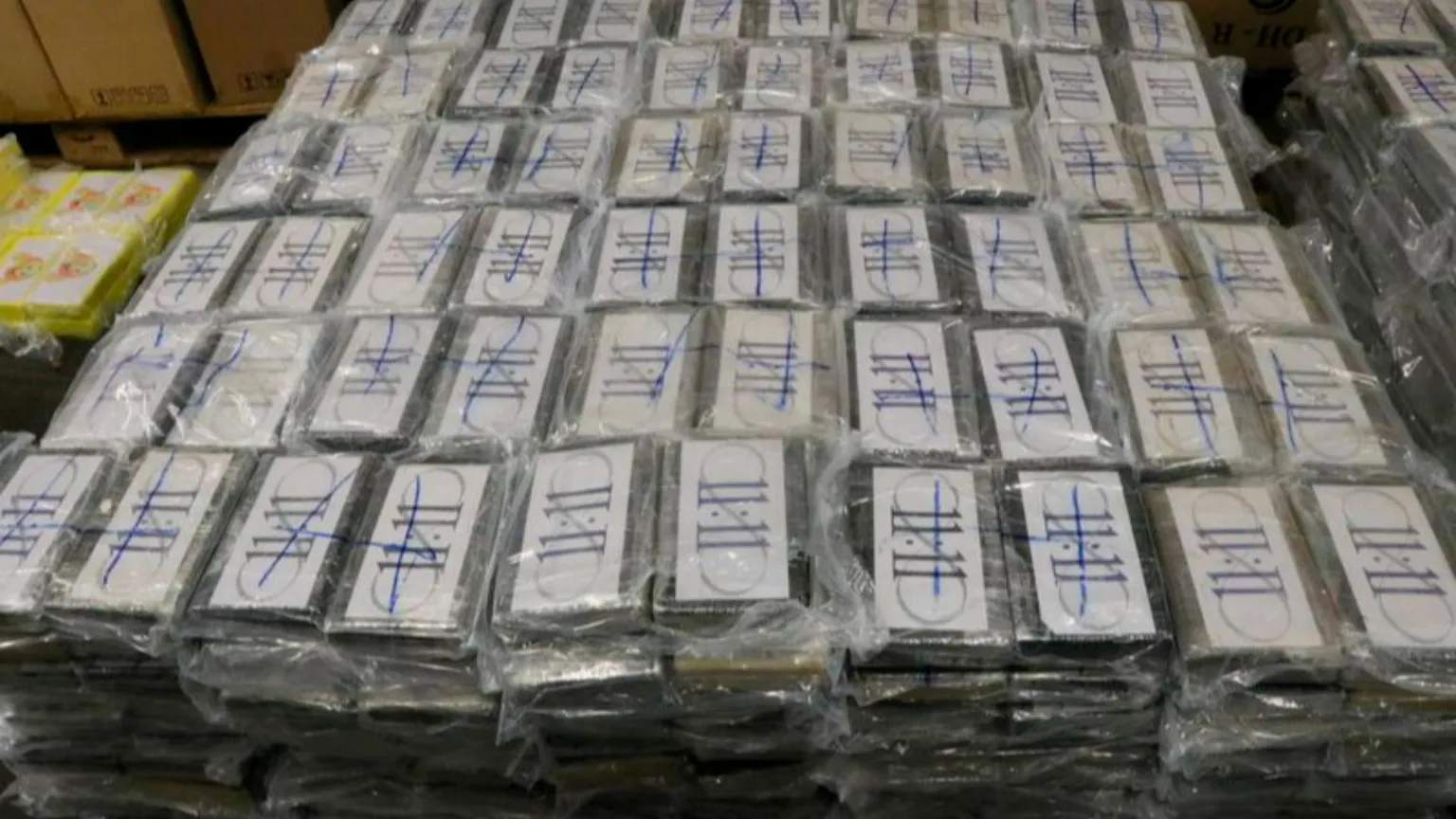 In aumento cocaina e ketamina:
la droga mappata nelle acque reflue