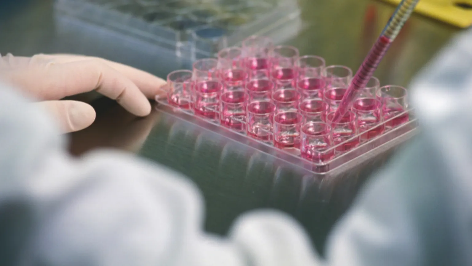 Terapia genica e farmaci con Rna, dal Pnrr successi italiani. «Ma ora va data continuità»