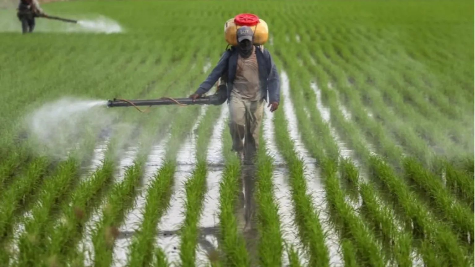 Su fertilizzanti
ed emissioni di CO2
abbiamo un pasticcio
chiamato Cbam