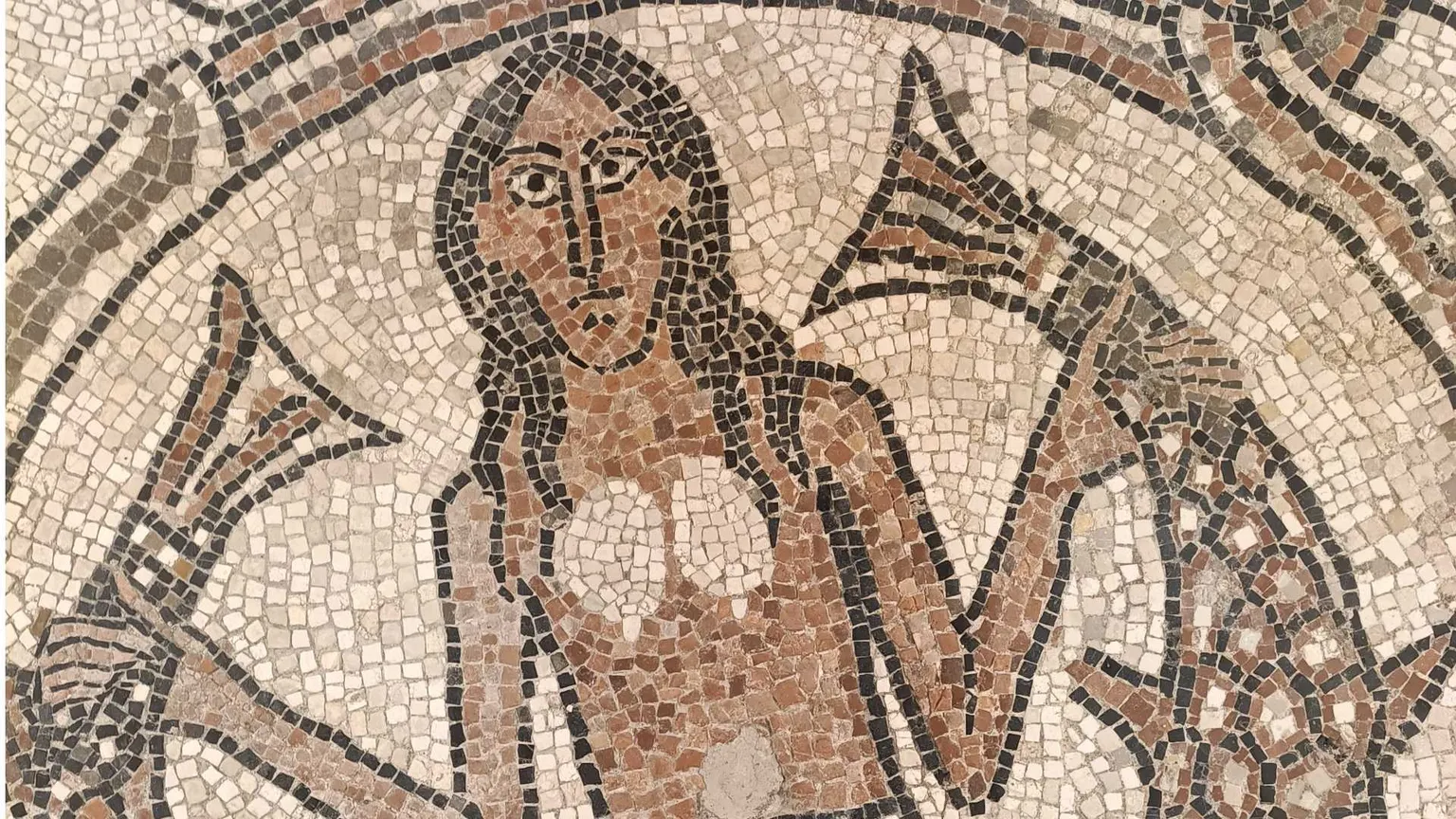I mosaici di Pesaro, un tesoro ritrovato sotto la cattedrale