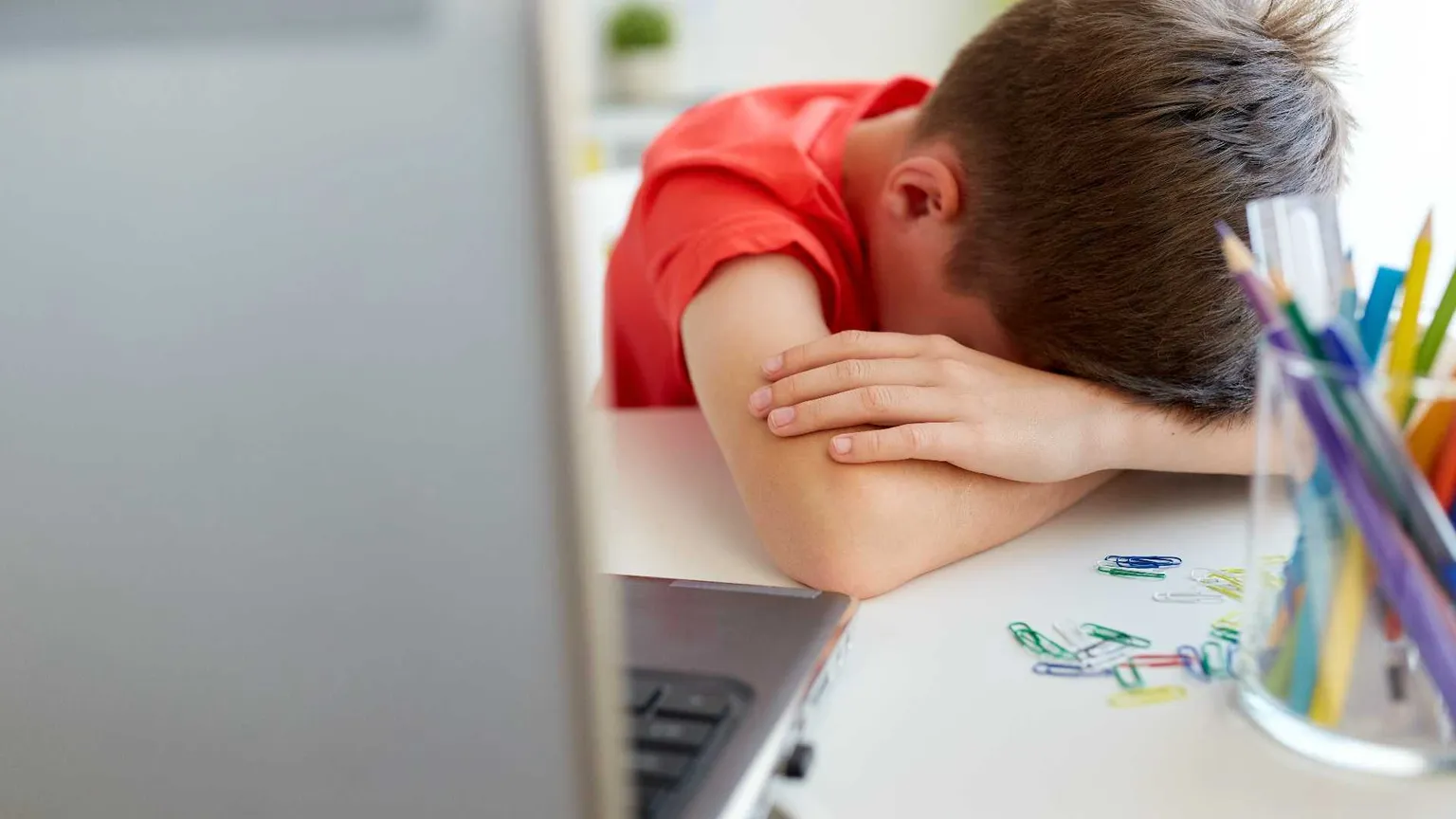 La marcia della scuola contro il bullismo: «Nessuno cresce da solo»