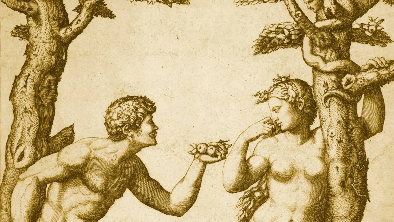I due alberi del giardino della storia