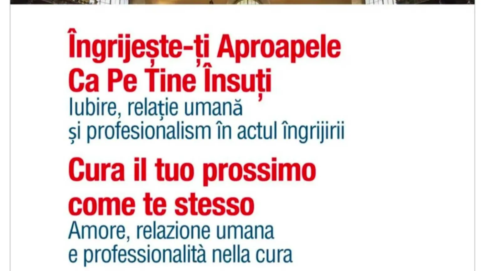 L'attività di cura con amore e professionalità