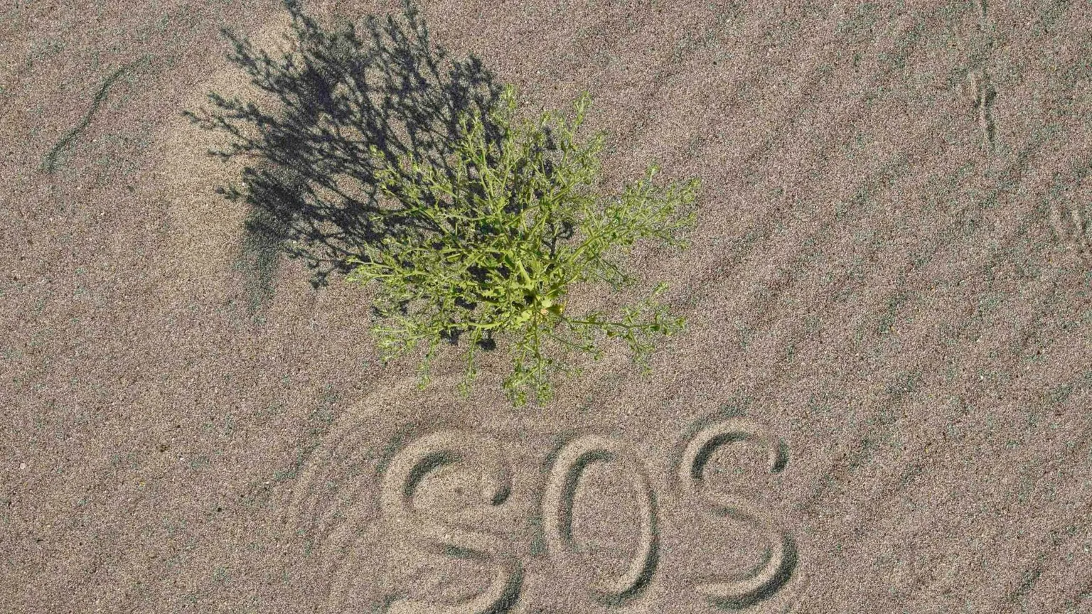 Il Po a secco, i campi del Delta senza irrigazione: l'emergenza siccità è all'inizio