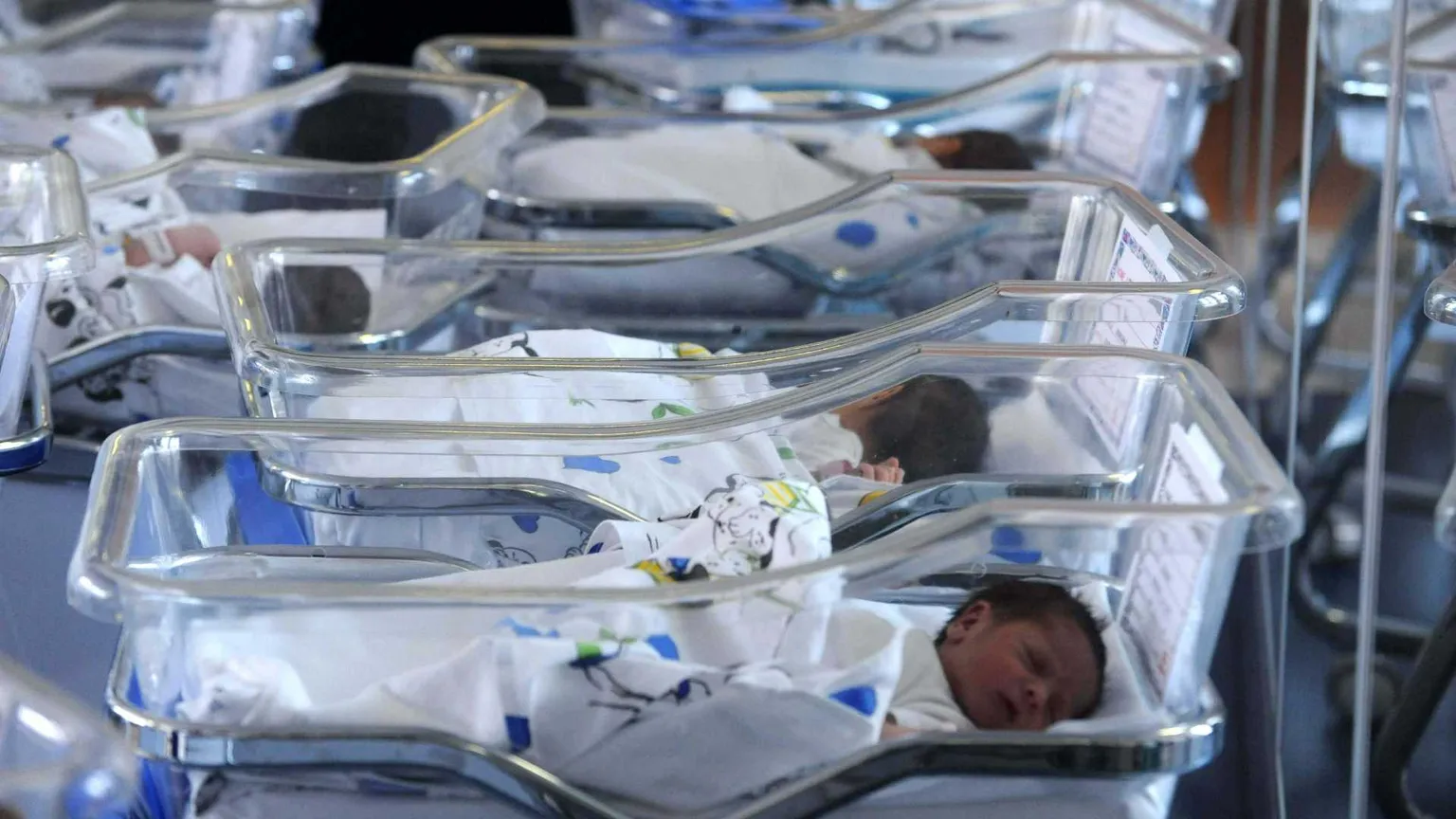 In Europa sempre più "figli in provetta". Con embrioni congelati