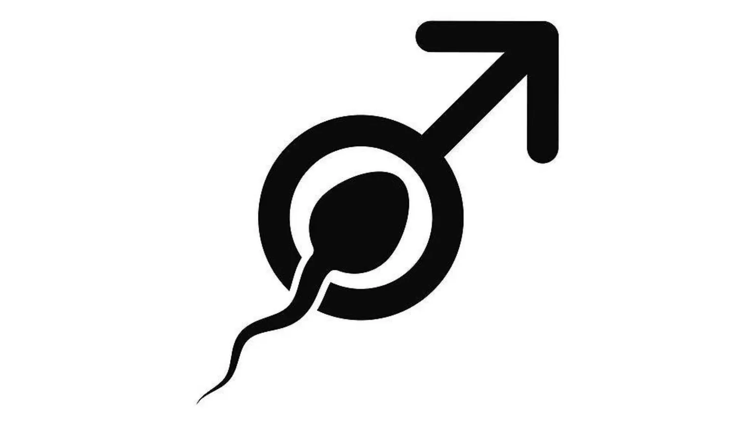 Così l’ovocita attira lo spermatozoo “migliore”