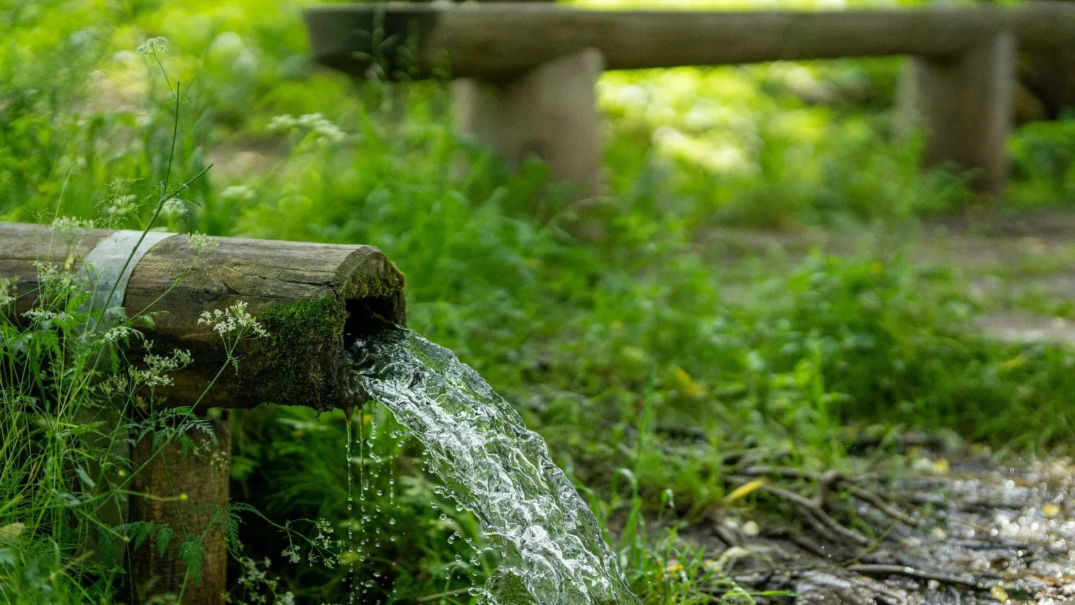 «Abbiamo bisogno di un’altra acqua minerale?»: la sorgente che divide la Valle d'Elvo