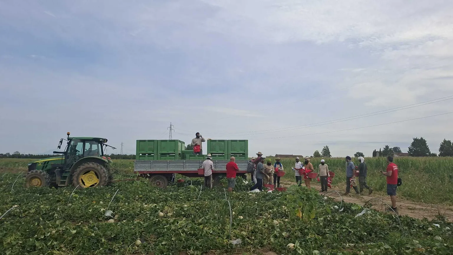 A 40 gradi, tra i padri indiani che lavorano nei campi di meloni: «Diamo un futuro ai nostri figli»