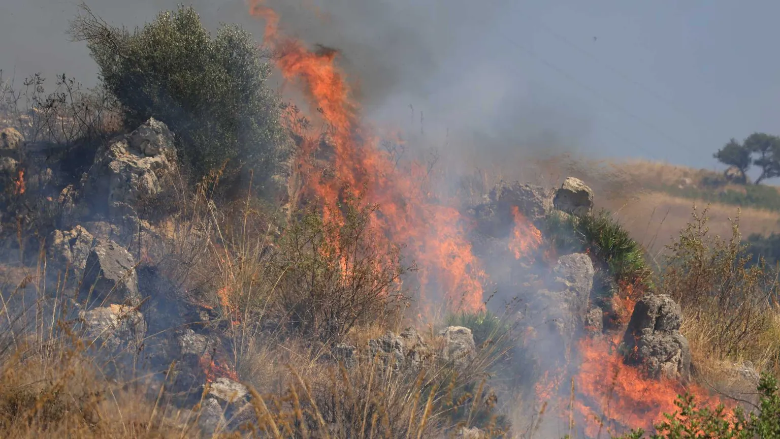 È l'estate degli incendi: +133% di casi in Italia