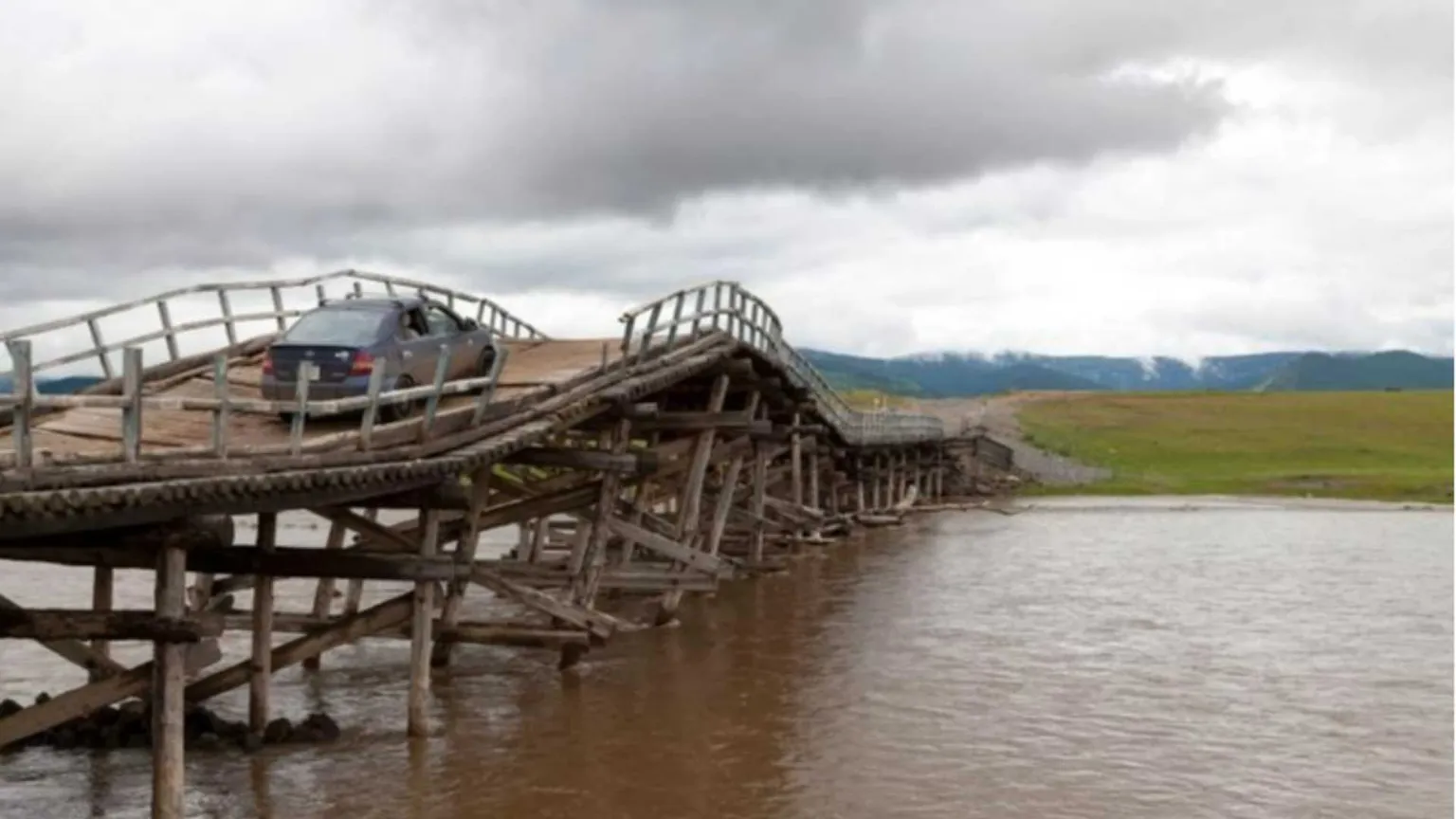 Ti raduno il gregge con l’auto elettrica.
Lo strano caso delle ibride in Mongolia