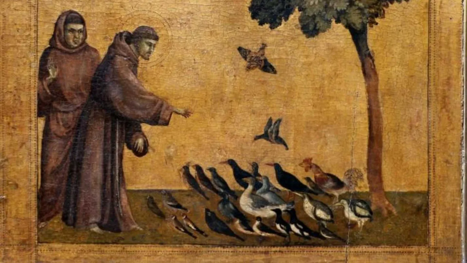 Il canto degli uccelli, l’umiltà in note.
Quando la Creazione diventa musica