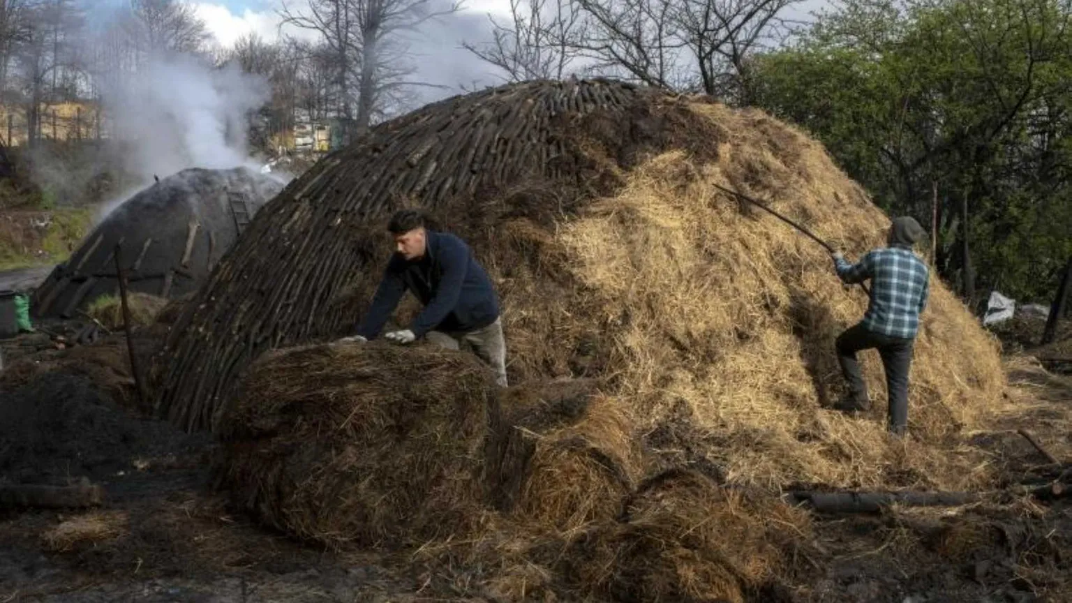 Carbonella da barbecue: in Italia c’è una produzione “doc”