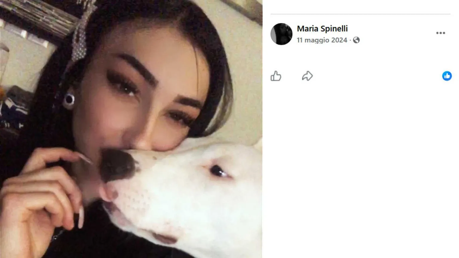 La sparatoria al rave e i sogni di Maria morti con lei all'alba