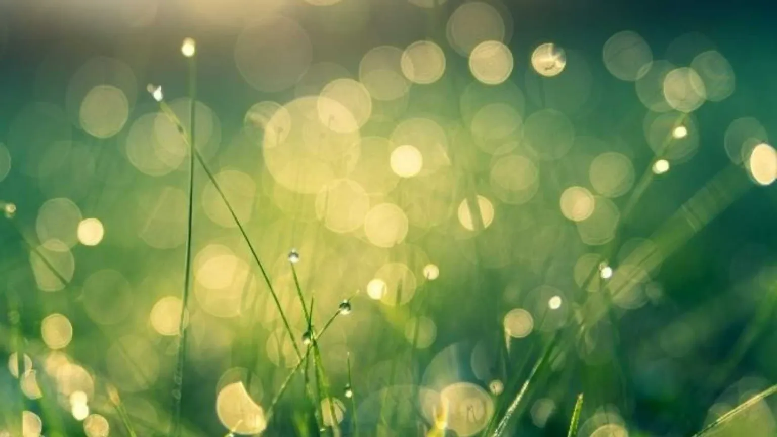 La luce ha bisogno di una relazione