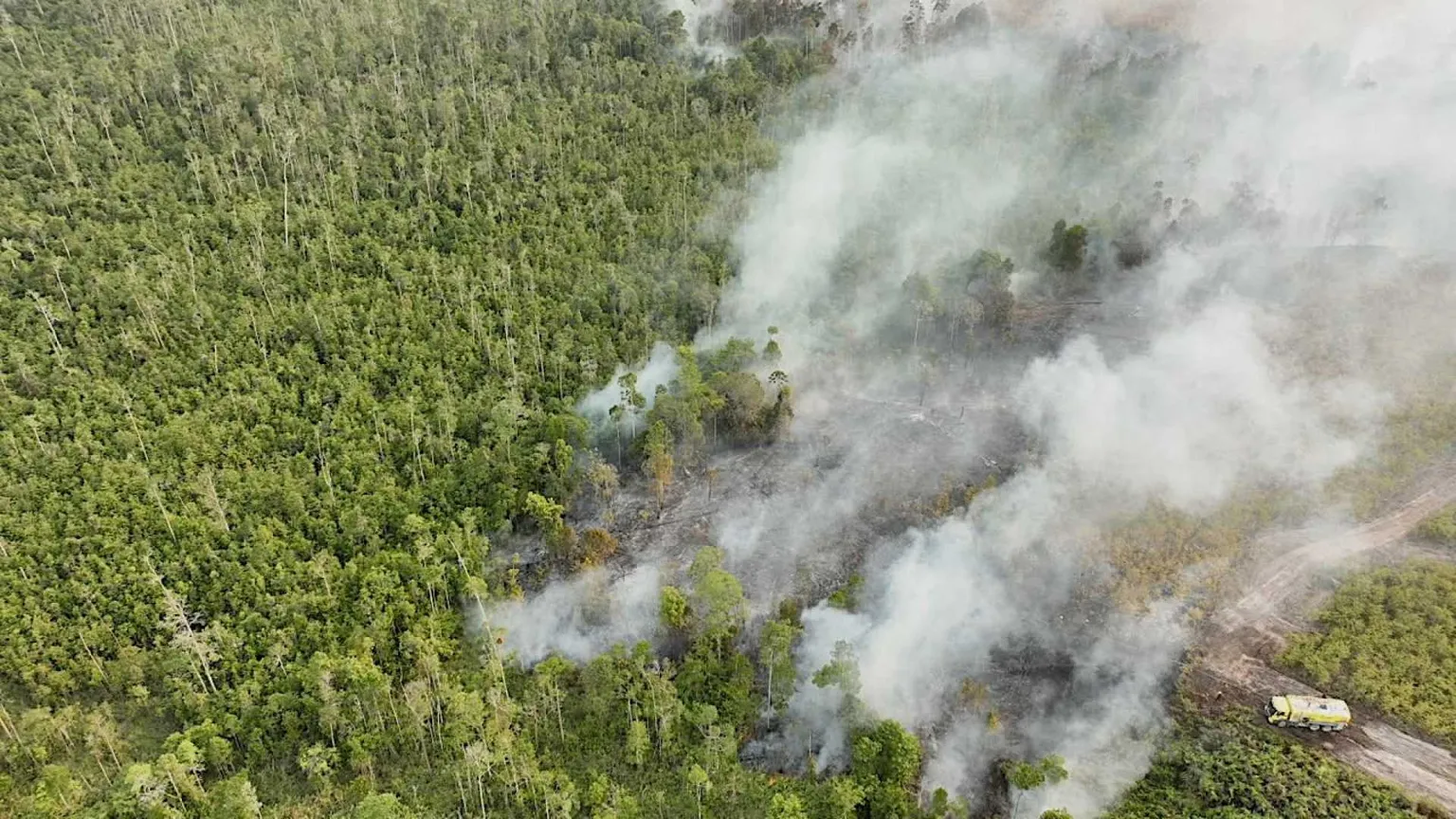 Colonne di fumo si alzano da un incendio boschivo in un'area di torbiera a Bulungan in Indonesia