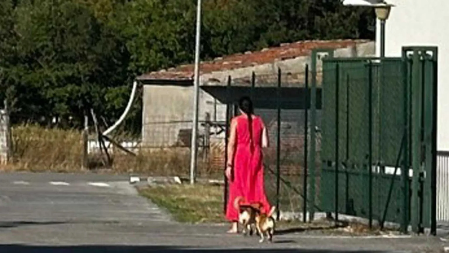 Famiglia del bosco, salta l'incontro tra bambini e genitori