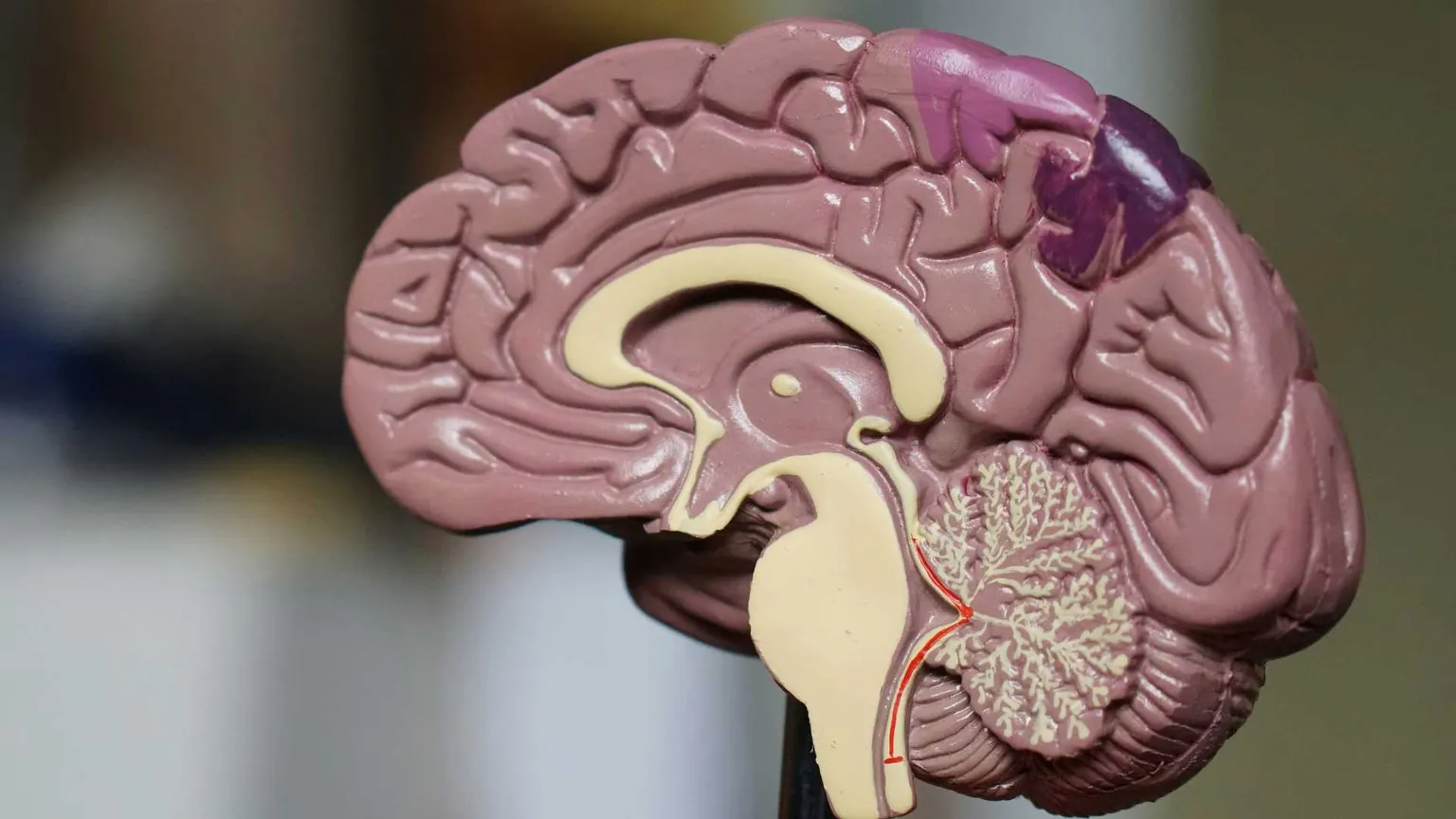 Alzheimer in crescita, ricerca italiana all'avanguardia