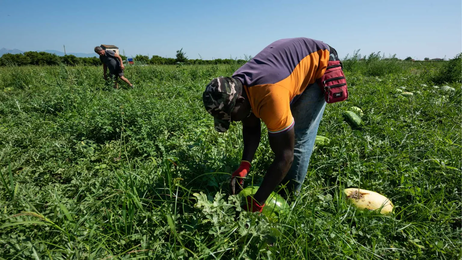 L'Italia incasserà 230 milioni di euro all'anno dai contributi dei nuovi lavoratori stranieri
