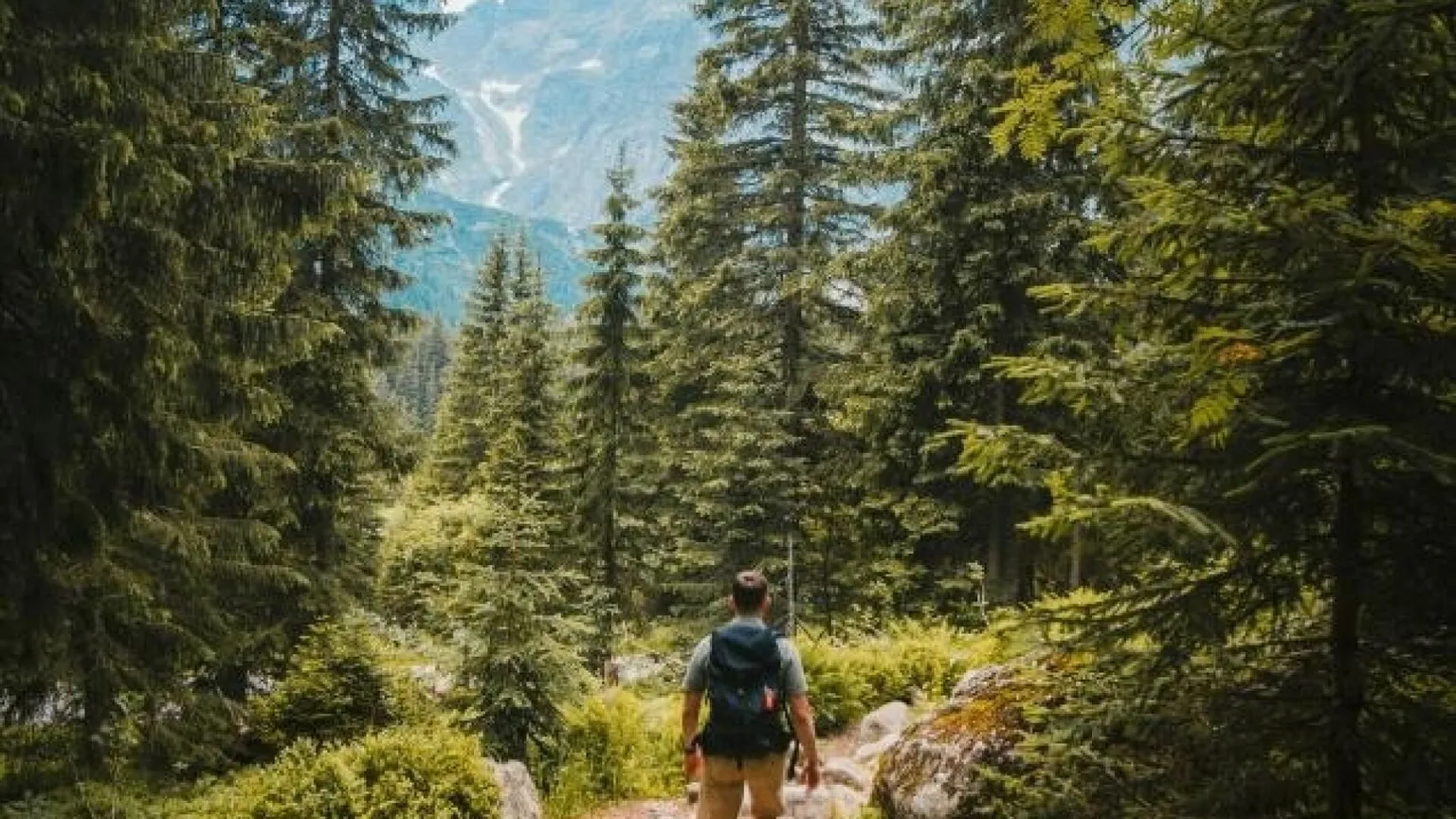 «In Patagonia scegliamo il pianeta, non la crescita a ogni costo»