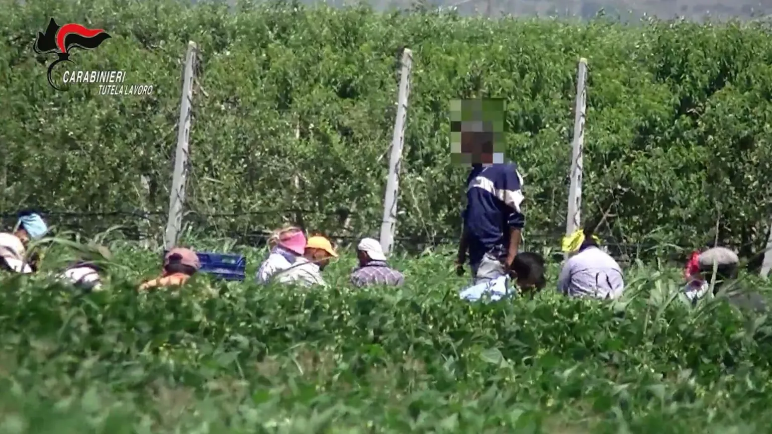 Il coraggio di denunciare: così 17 lavoratori hanno incastrato una rete di caporali