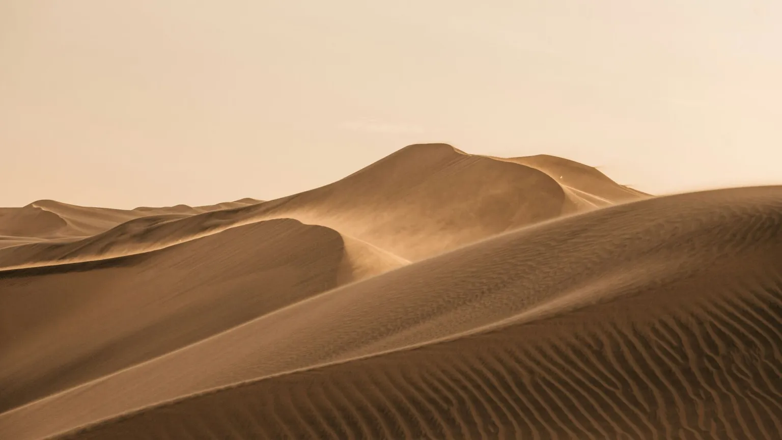Non risposte ma domande: che cosa ci insegna il silenzio dei Padri del deserto