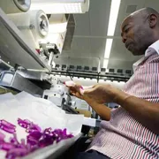 L'integrazione è al lavoro