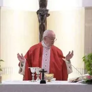Papa: la fede si trasmette con l’amore e la testimonianza
