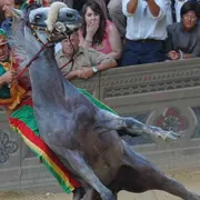 «Immagine inadeguata», l'arcivescovo non benedice il «drappellone» del Palio