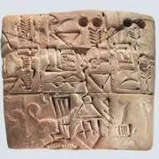 Dalla Mesopotamia in poi le città e le istituzioni statali fondano sui cereali