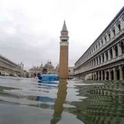 Madre Terra, economia madre il movimento da generare