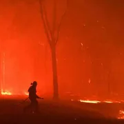 È tutto il mondo che va a fuoco: 2019 anno nero degli incendi