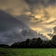 Uscire e tornare a vivere: il nuovo sguardo di re Théoden