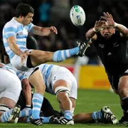 Le macchie dei Pumas: i trionfi e le ombre dell'Argentina del rugby