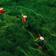 Adamo dove sei? Tra la discarica e il Giardino