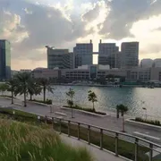 Emirati Arabi, dalle armi alla cooperazione