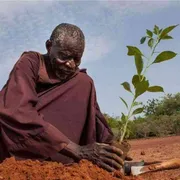 La tenacia di Sawadogo, l’uomo che ha salvato i frutti della sua terra