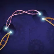 Editing genetico, le sfide etiche delle cure con la tecnica Crispr