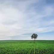Ma quella Stella dell'ecologia non brilla più come all'alba
