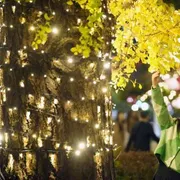 A Tokyo il mistero del Covid scomparso: in 3 mesi i contagi si sono azzerati