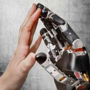 Crescerà mai un albero digitale della conoscenza del bene e del male?