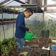 Incentivi a chi assume lavoratori con disturbi autistici