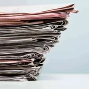 Dibattito pubblico, se anche le news sono un panda da tutelare