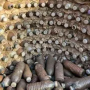 La casa di plastica: c’è vita oltre lo scarto