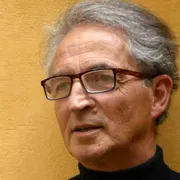 Una rischiosa idea disciplinare