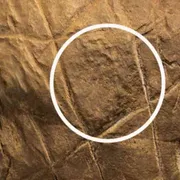 I segni di Naledi, domande dell'uomo