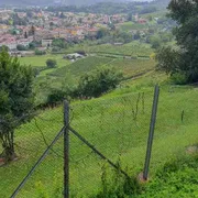 Gli eroi di Clivio che aiutarono ebrei e perseguitati a sfuggire ai nazifascisti