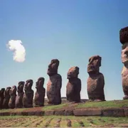 Gli alberi e il declino di Rapa Nui: beni comuni che si devono salvare