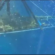 Dal mare di Pantelleria riemerge l’aereo dell’asso Alvise Andrich